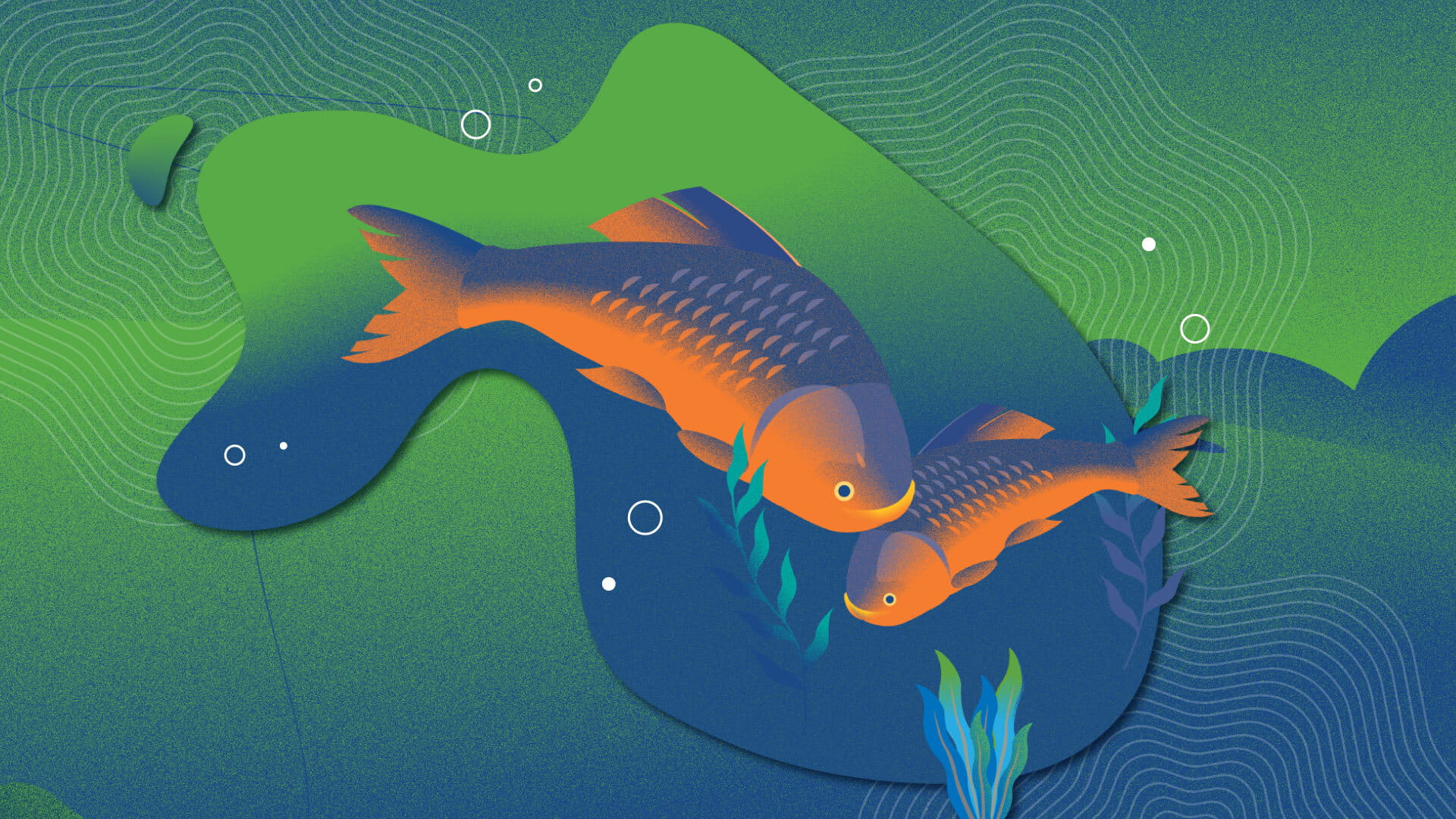 Worldfish thumbnail image