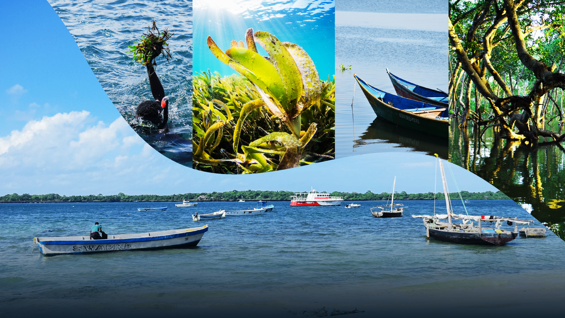 A visual blueprint for Kenya's marine potential
