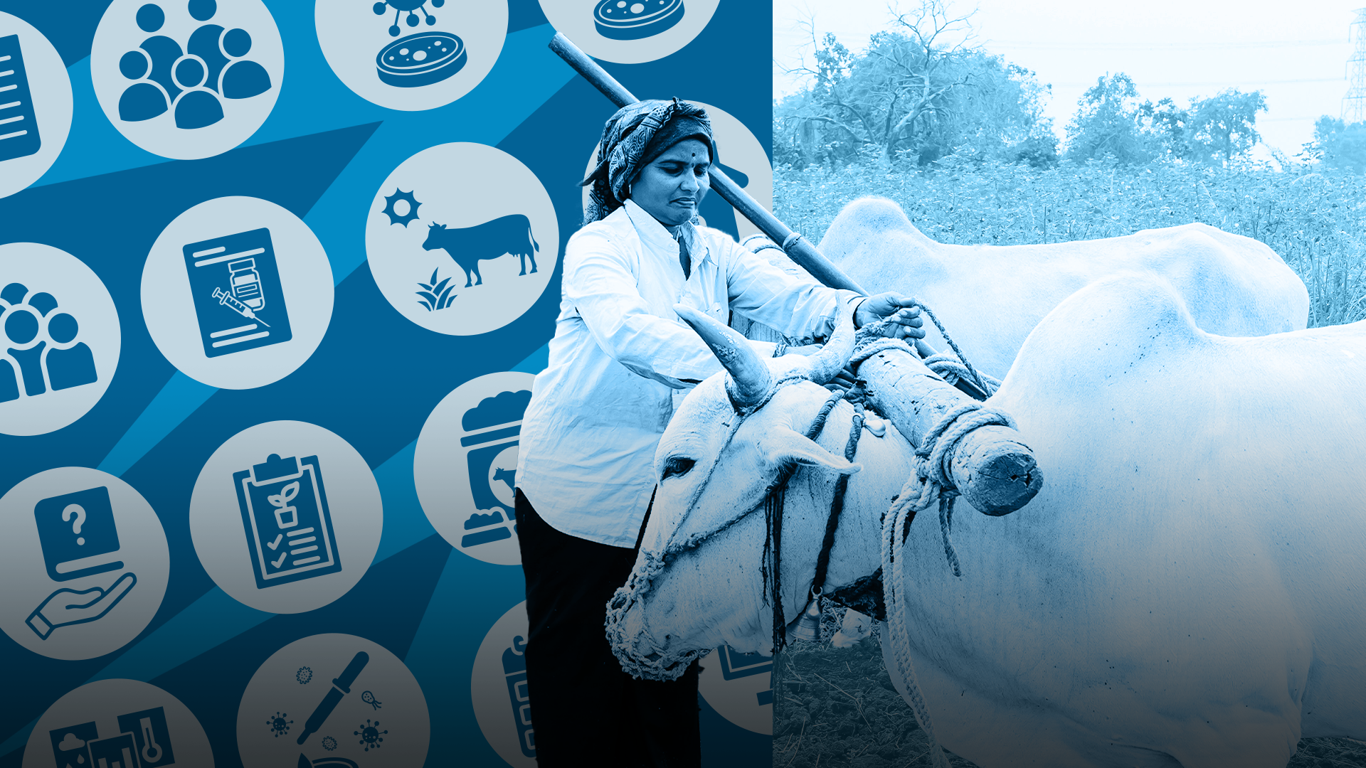 Branding the future of animal healthcare